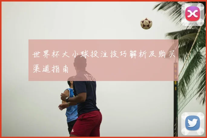世界杯大小球投注技巧解析及购买渠道指南