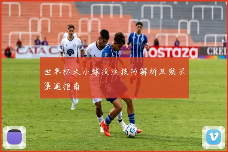 世界杯大小球投注技巧解析及购买渠道指南