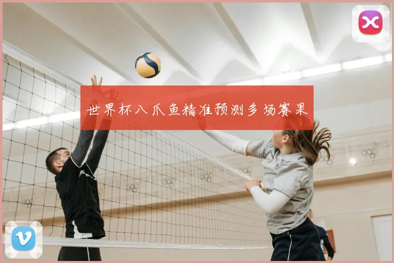 世界杯八爪鱼精准预测多场赛果