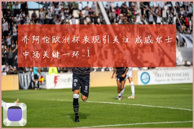 乔阿伦欧洲杯表现引关注 成威尔士中场关键一环_1