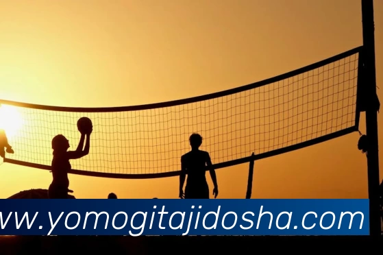 多媒体互动体验